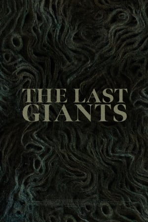 The Last Giants poszter