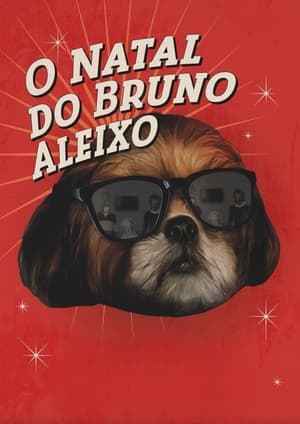 O Natal do Bruno Aleixo poszter