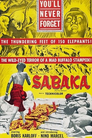 Sabaka poszter