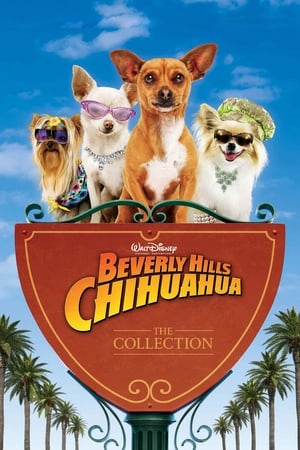 Beverly Hills Chihuahua filmek