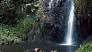 Gauguin : Voyage de Tahiti háttérkép