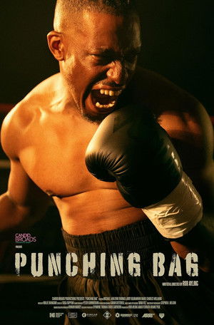 Punching Bag poszter