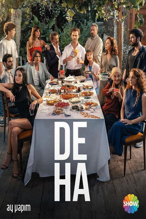 Deha poszter