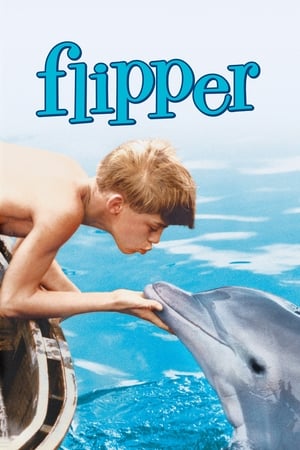 Flipper poszter