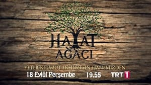 Hayat Ağacı kép