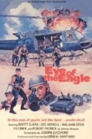 Eye of the Eagle poszter