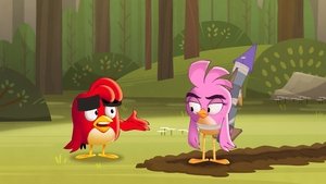 Angry Birds: Nyári őrület 1. évad Ep.9 Irány az űr!