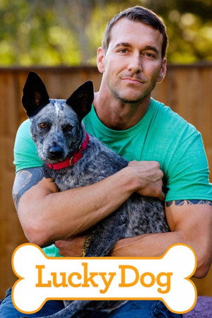 Lucky Dog poszter