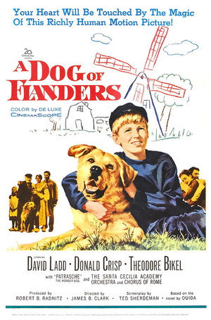 A Dog of Flanders poszter