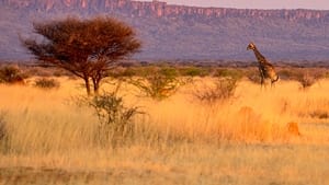 Namibia, Sanctuary of Giants háttérkép