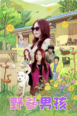 된장이 poszter