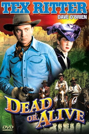 Dead or Alive poszter