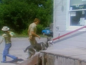 The Littlest Hobo 1. évad Ep.1 1. epizód