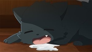 Küldetés: A Yozakura család 1. évad Ep.7 7. epizód