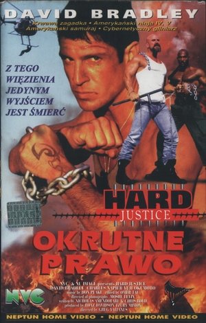 Kemény fegyház poszter