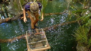 I'm a Celebrity...Get Me Out of Here! Season 3 Ep.15 15. epizód