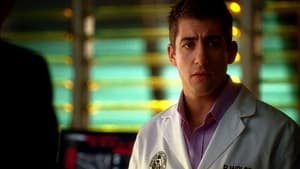 CSI: Miami-helyszínelők 5. évad Ep.11 Hátbatámadás