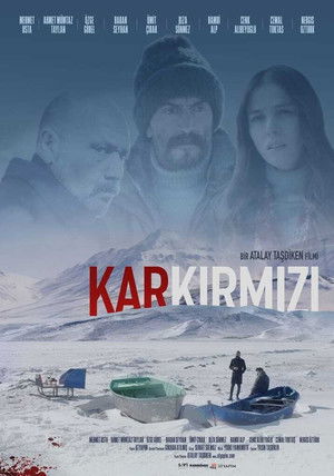 Kar Kırmızı poszter