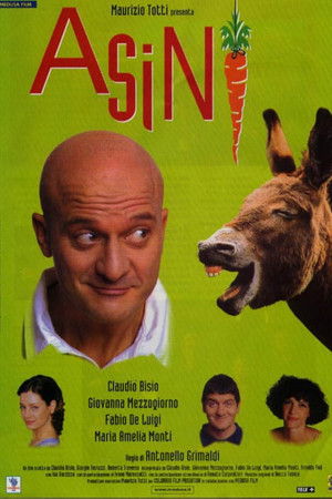 Asini poszter