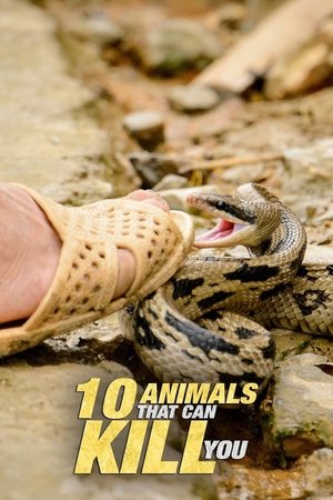 10 állat, ami megölhet téged: Halálos találkozások