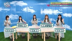 日向坂46です。ちょっといいですか? 2. évad Ep.63 63. epizód