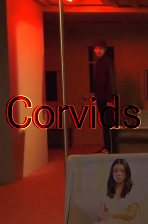Corvids poszter