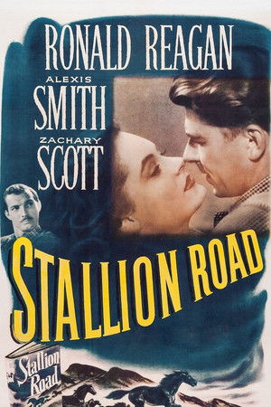 Stallion Road poszter