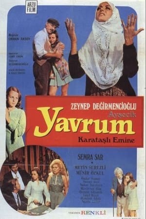 Ayşecik: Yavrum poszter