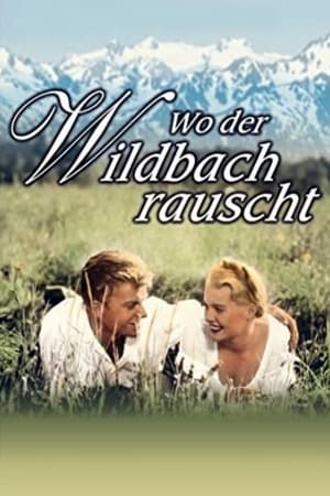 Wo der Wildbach rauscht poszter