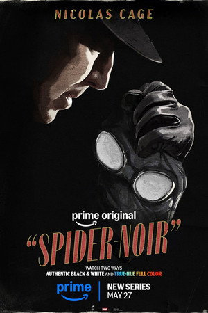 A Pók: Noir poszter