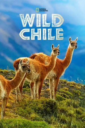 Vad Chile