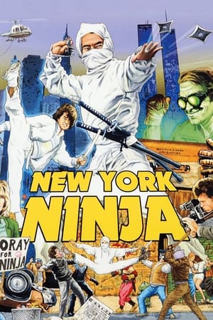 New York Ninja poszter