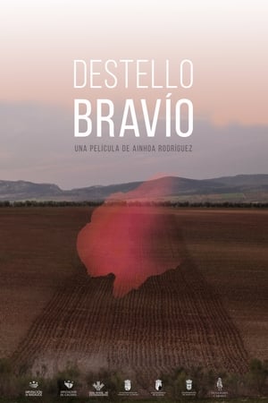 Destello Bravío poszter