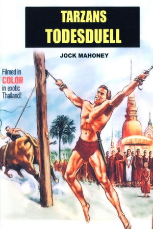 Tarzan's Three Challenges poszter