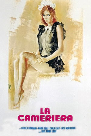 La cameriera poszter