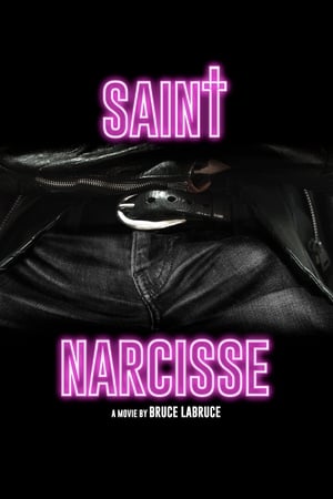 Saint-Narcisse poszter