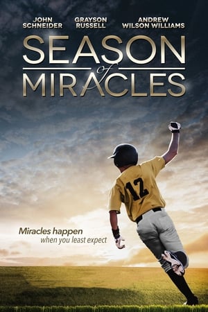 Season of Miracles poszter