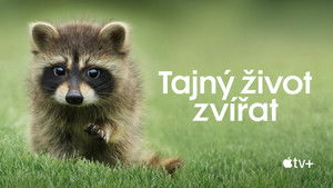 Az állatok titkos élete kép