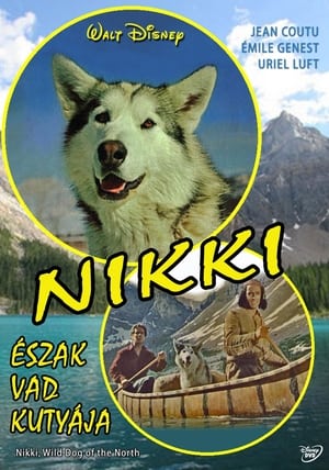 Nikki, észak vad kutyája