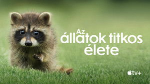 Az állatok titkos élete kép