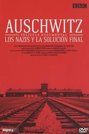 Auschwitz: A nácik végső megoldása poszter