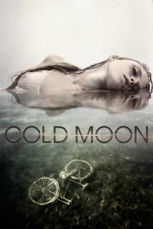 Cold Moon poszter