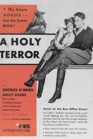 A Holy Terror