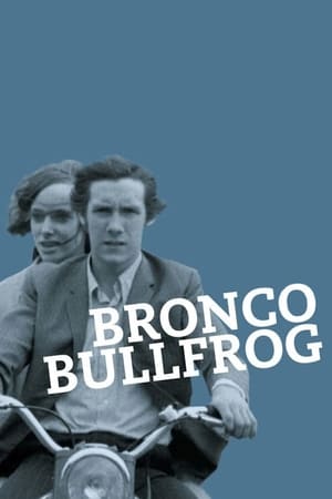 Bronco Bullfrog