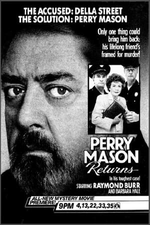 Perry Mason Returns poszter