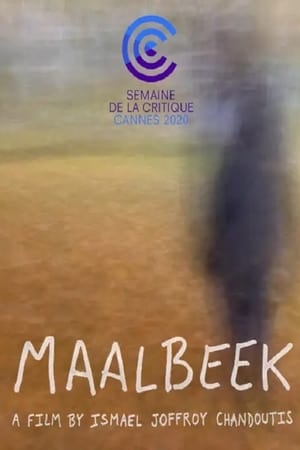 Maalbeek poszter