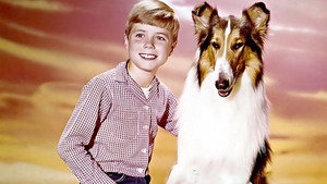 Lassie: The New Beginning háttérkép