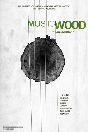 Musicwood poszter