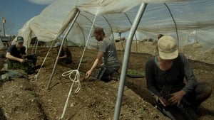 La ferme et son état háttérkép