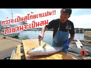 Sugoi Japan Season 2 Ep.224 224. epizód